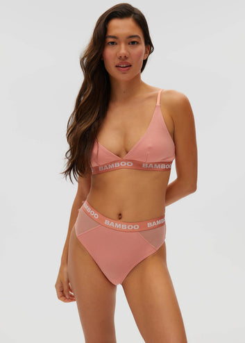 Classic Bikini with Mesh